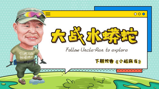 大战水蟒蛇 商品图0