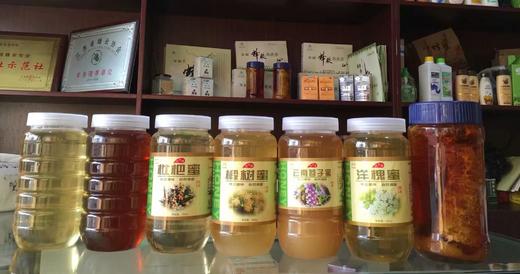 【常州馆】枇杷蜜、洋槐蜜 商品图0
