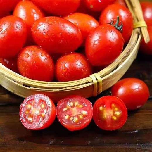 原产地直发现摘圣女果500克 商品图1