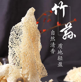 菌中皇后——竹荪