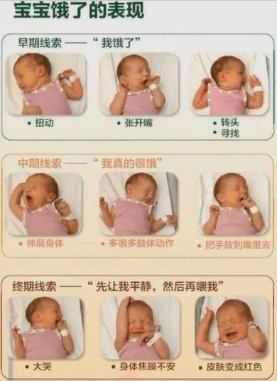 发现宝宝的饥饿信号 商品图0