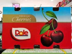 都乐智利santina双J车厘子10斤