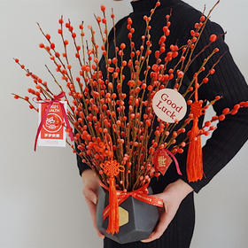 新年旺运 红妆 · 银柳迎春