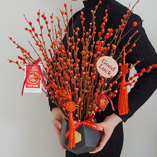 新年旺运 红妆 · 银柳迎春 商品图0