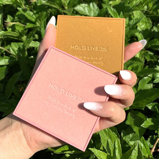 HOLD LIVE 彩妆丝绒眼影盘蜜桃粉棕色系九色眼影珠光哑光HL366 商品图2