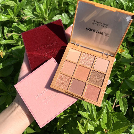 HOLD LIVE 彩妆丝绒眼影盘蜜桃粉棕色系九色眼影珠光哑光HL366 商品图1