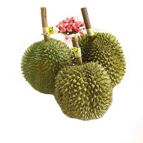 泰国长柄猫山王榴莲