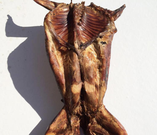 现货泰顺农家腊兔一份3斤左右备年货（请提早下单3天左右到货） 商品图8