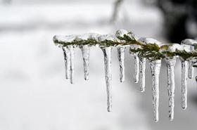  身处寒潮，阳气严重不足，中医教你怎么御寒补阳！ 