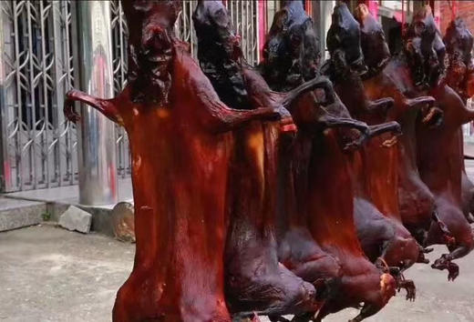 现货泰顺农家腊兔一份3斤左右备年货（请提早下单3天左右到货） 商品图0