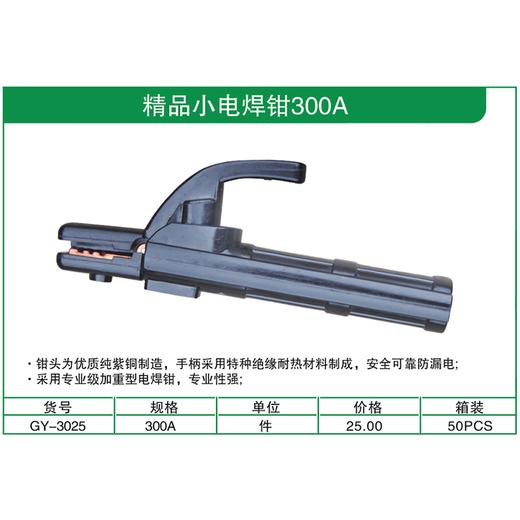 贯亚精品小电焊300A 商品图1