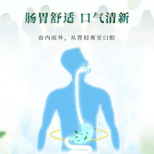 爆仓1.15发货【清火去口臭】鸿蒙合香丸传承古方养护胃肠直达口臭源头除臭清新口气去火调理天然原材匠心手作 商品图5