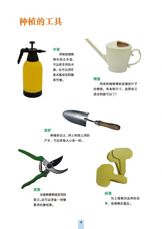 冬季盆花种养手册 商品图4