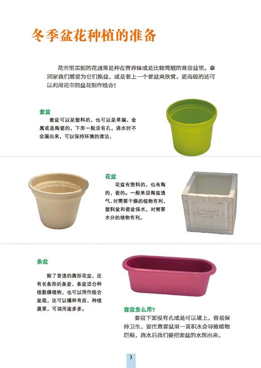 冬季盆花种养手册 商品图3