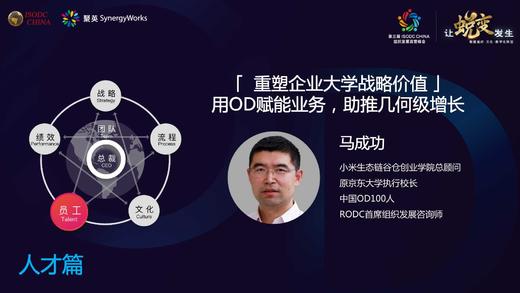 马成功——重塑企业大学战略价值 商品图0