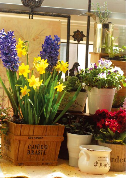 冬季盆花种养手册 商品图1