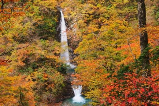 日本自然-瀑布（一） 商品图4