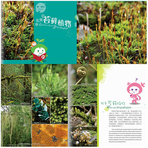 植物王国的小矮人——苔藓植物（中英文版） 商品图1