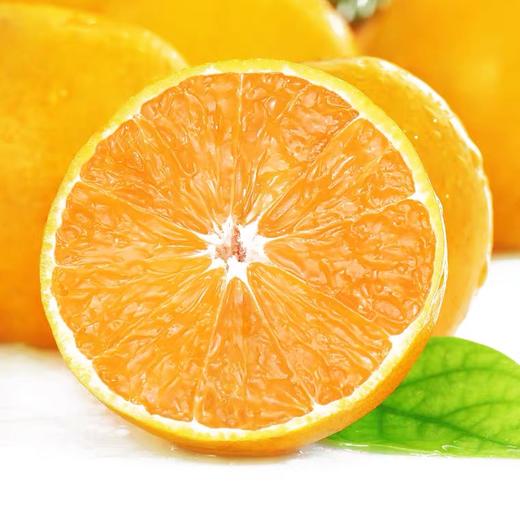 麻阳冰糖橙10斤装 商品图5