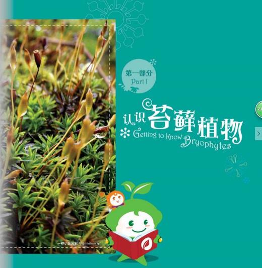 植物王国的小矮人——苔藓植物（中英文版） 商品图3