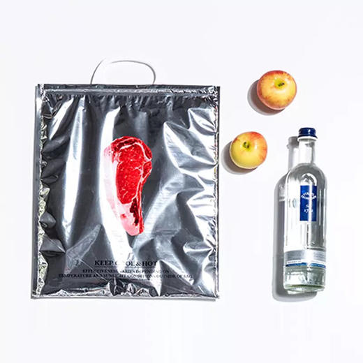 日本puebco手提保温保冷袋-个性潮流时尚方便随身携带防水-会员6折 商品图0