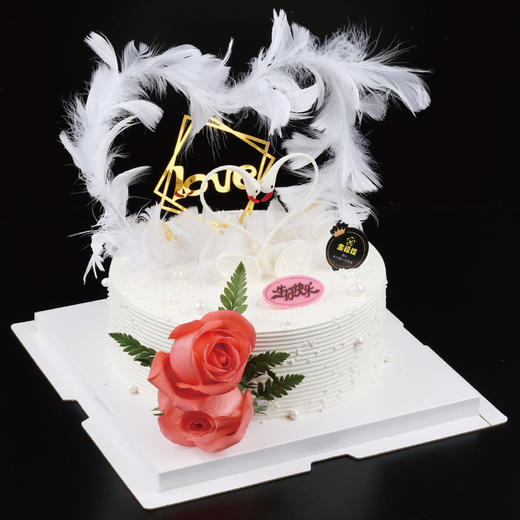 梦幻天鹅 商品图0