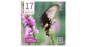 【花丘•心语】