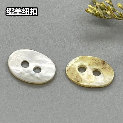 㮋圆二孔马氏贝(整包购买) 商品图1