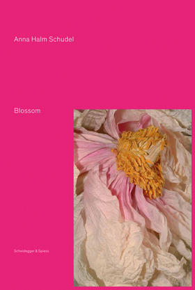 Blossom,盛开   其他艺术