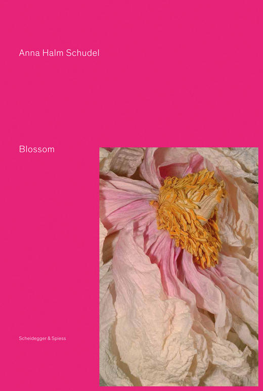 Blossom,盛开   其他艺术 商品图0