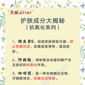 成分—抗氧化系列