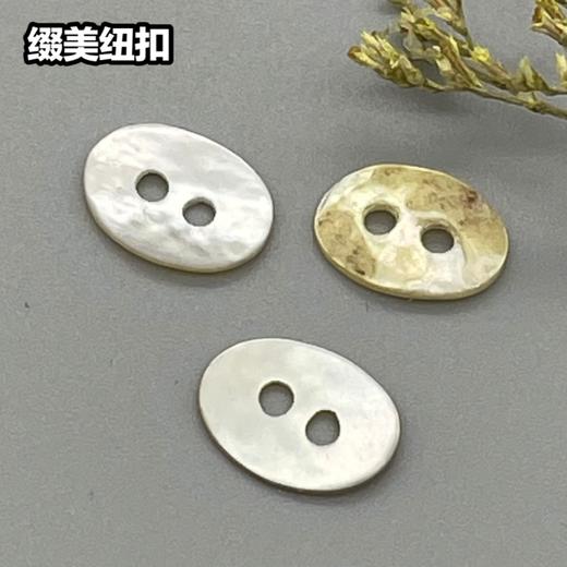 㮋圆二孔马氏贝(整包购买) 商品图2