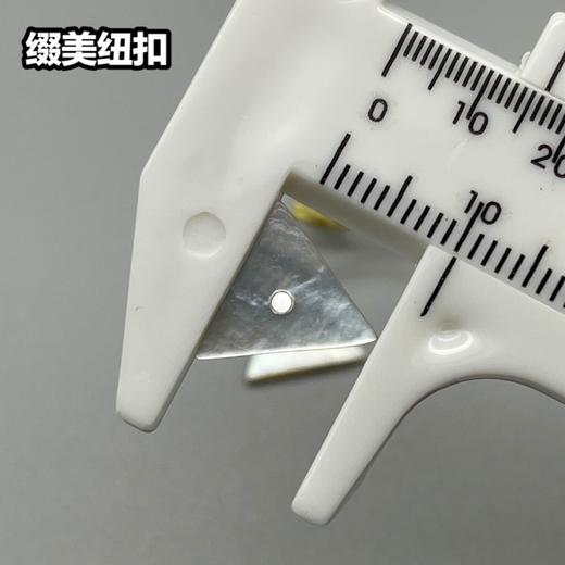 三角形单孔马氏贝(整包购买) 商品图4