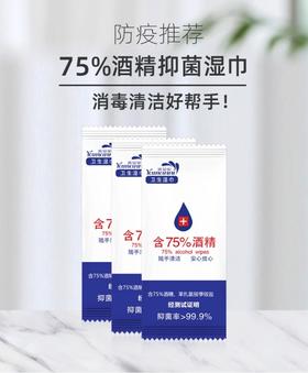 雅曼妮消毒湿巾