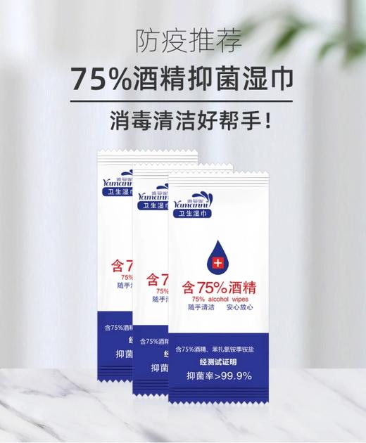 雅曼妮消毒湿巾 商品图0