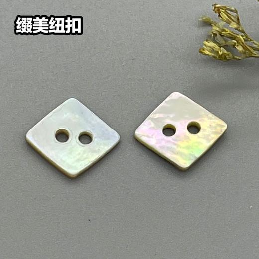 四方形二孔马氏贝(整包购买) 商品图1