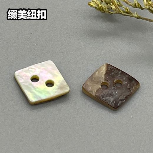 四方形二孔马氏贝(整包购买) 商品图2