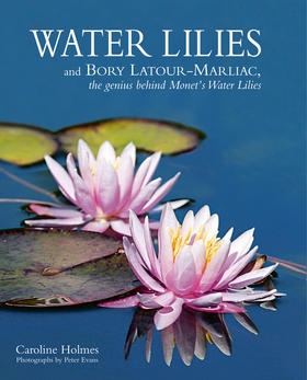 Water Lilies,睡莲   园艺