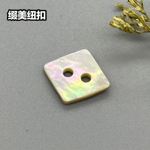 四方形二孔马氏贝(整包购买) 商品图0