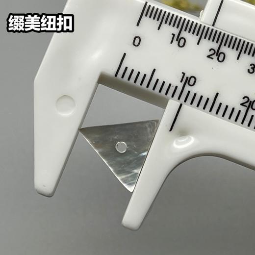 三角形单孔马氏贝(整包购买) 商品图3