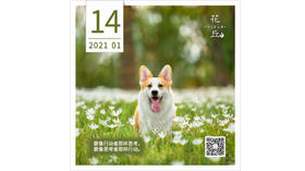 【花丘•心语】