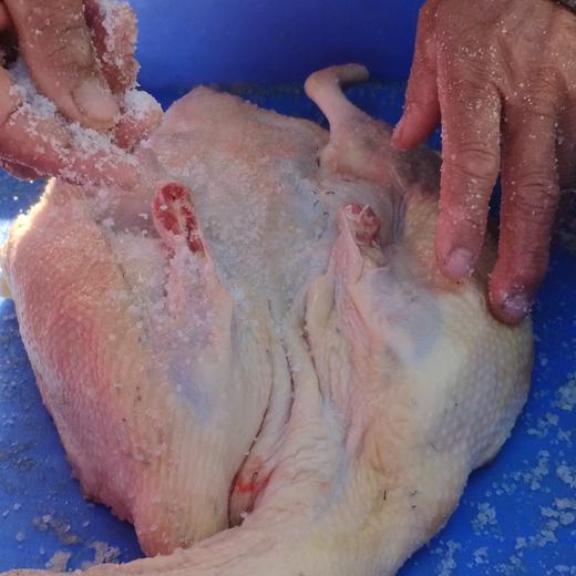 生态广式腊鸭 | 绿家自产* Eco-preserved duck | Self-production 商品图4