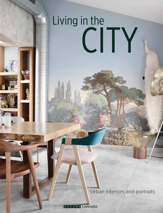 Living in the City: Urban Interiors and Portraits (Dutch, English and French Edition) 商品图0