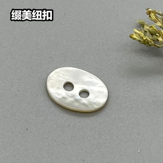 㮋圆二孔马氏贝(整包购买) 商品图0