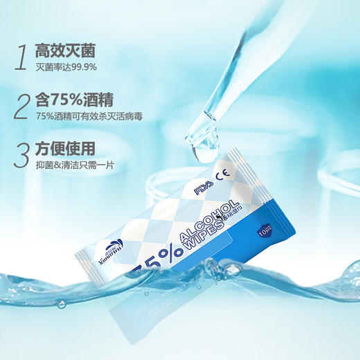 雅曼妮消毒湿巾10片装 商品图1