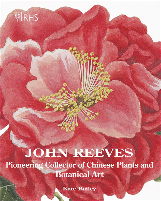 John Reeves: Pioneering Collector of Chinese Plants and Botanical Art,约翰·里维斯：中国植物花卉收藏   绘画 商品图0