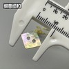 四方形二孔马氏贝(整包购买) 商品缩略图3