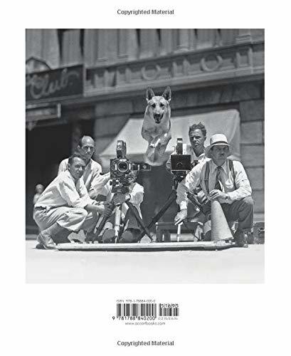 Hollywood Dogs,好莱坞之狗   摄影 商品图1