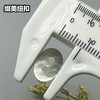 㮋圆二孔马氏贝(整包购买) 商品缩略图4
