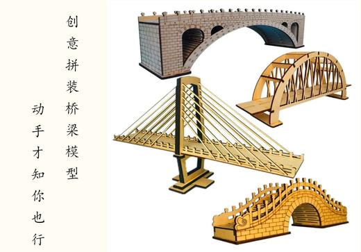 diy桥梁模型小桥拼装中小学生幼儿园手工作业制作模型桥梁材料包 商品图0
